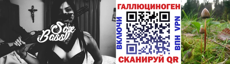 магазин продажи наркотиков  Изобильный  Галлюциногенные грибы мицелий 