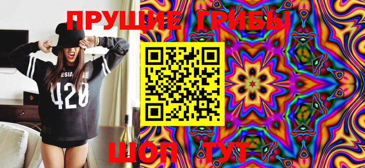 Галлюциногенные грибы Magic Shrooms  Вход с VPN  Изобильный 